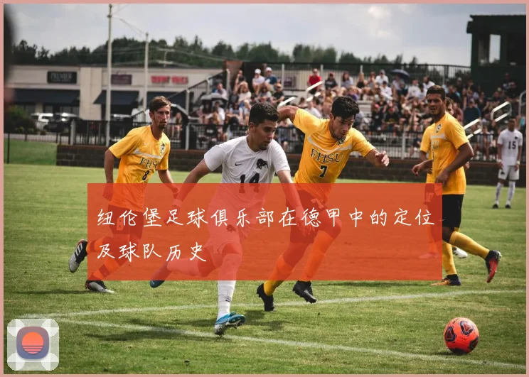 纽伦堡足球俱乐部在德甲中的定位及球队历史